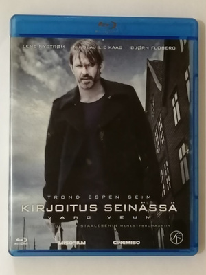Kirjoitus seinässä (Varg Veum)
