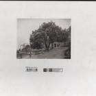 Signe Brander : 1869-1942 : Helsingin valokuvaaja, yvk, K4 - pikkukuva 2