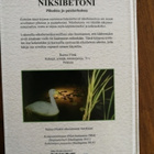 Niksibetoni - Raimo Flink - pikkukuva 4