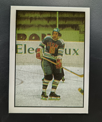1971-72 Williams Hockey #66 Veli-Pekka Ketola