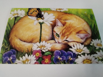 Kissa kortti,kulkematon,vaikka kehyksiin tauluksi.
