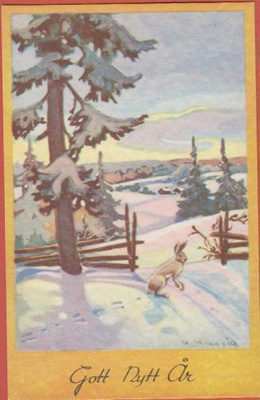 Maasio Jänis hangella