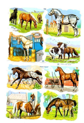 KIILTOKUVA °°HEVOSET°° / MLP1532
