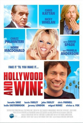 Hollywood And Wine (DVD)