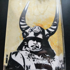 Shogun DVD boksi - pikkukuva 2