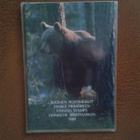 vuosilajitelma 1989 - pikkukuva 1