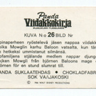 Purkkakuva Panda .Viidakkokirja n:o 26 - pikkukuva 2