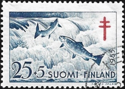 1955 TUB merkki Lohi 25 + 5 mk leimattu LaPe 445