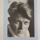 Harry Martinson : Dikter 1929-1945 - pikkukuva 2