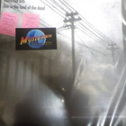 CATHARSIS - LIVE IN THE LAND OF THE DEAD M-/M- LP - pikkukuva 1