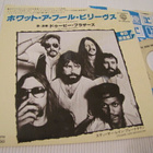 Doobie brothers what a fool believes 7 45 japani 1978 - pikkukuva 1