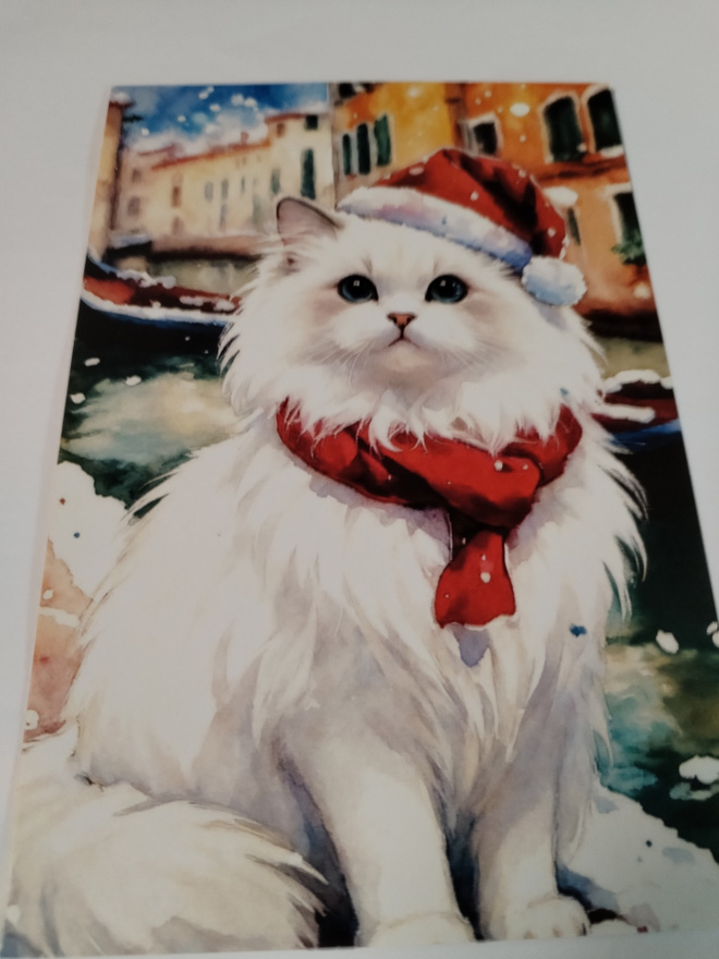 Kissa kortti, kulkematon, vaikka kehyksiin tauluksi.