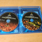 Great Migrations - Eläinten muuttomatkat (2 x Blu-ray) - pikkukuva 4