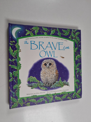Gill Davies : The Brave Little Owl