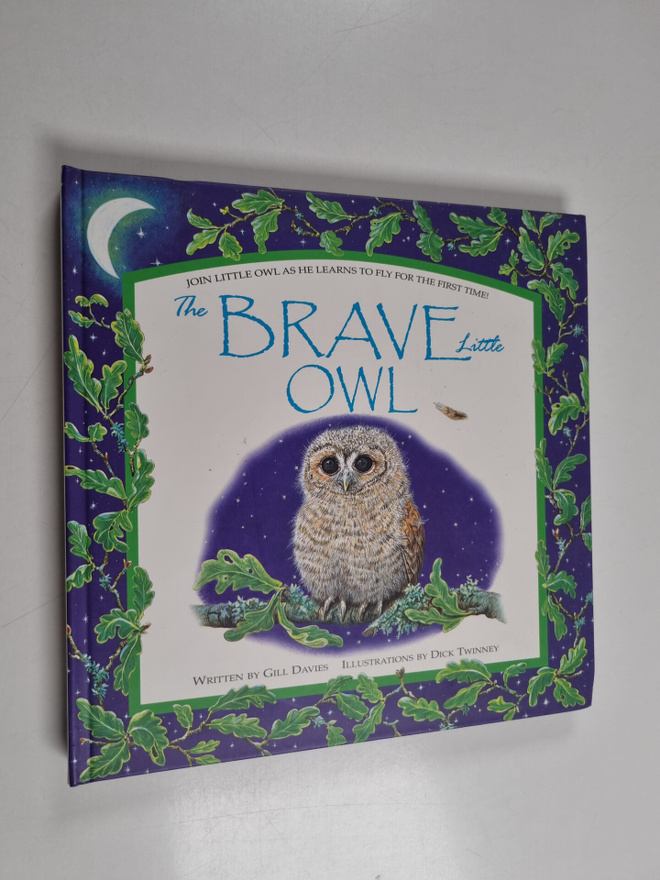 Gill Davies : The Brave Little Owl