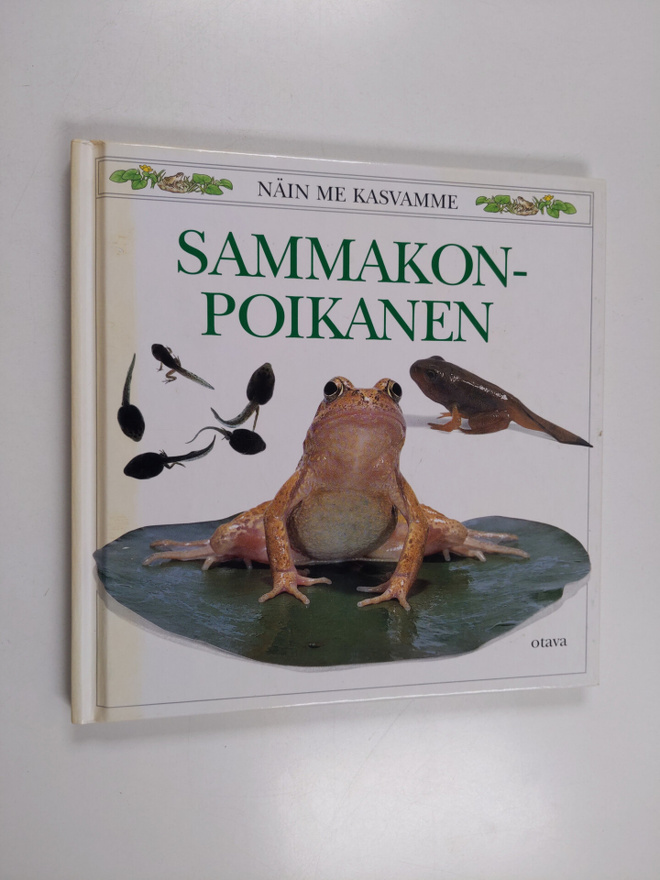 Kim Taylor : Sammakonpoikanen