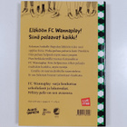 Tuula Kallioniemi : Pöllitty pallo - pikkukuva 2