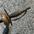 Yhensortin Florettimiekka aikakomea ollut - pikkukuva 3