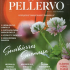 KODIN PELLERVO n:o 6 2024 Jurva. Riku. Petu .Läpi esteiden. - pikkukuva 1