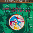 Various - The Sensational Seventies LP Vinyyli - pikkukuva 1