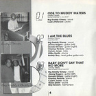 Big Daddy Kinsey: I Am The Blues (Verve 1993) - pikkukuva 3