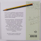 Garth Sundem : Insinöörin logiikka - pikkukuva 2