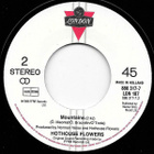 Hothouse Flowers : I'm Sorry - 7" - pikkukuva 3