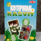 Kotipihan kasvit. Tactic peli - pikkukuva 1