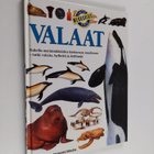 Vassili Papastavrou : Valaat - pikkukuva 1