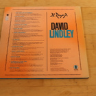 LP David Lindley : El Rayo-X - pikkukuva 2