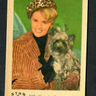 Keräilykuva - Connie Stevens Star D Bilder 102 - pikkukuva 1