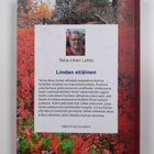 Taina Inkeri Lehto : Lindan etiäinen (signeerattu) - pikkukuva 2