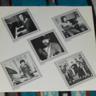 STEVE FORBERT s/t ~ LP - pikkukuva 3