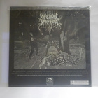 INFERNAL DARKNESS - INTO INFERNAL DARKNESS M-/M- LP - pikkukuva 2