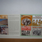 Rupersts People CD Dream In My Mind * Anthology 1967-1999 - pikkukuva 4