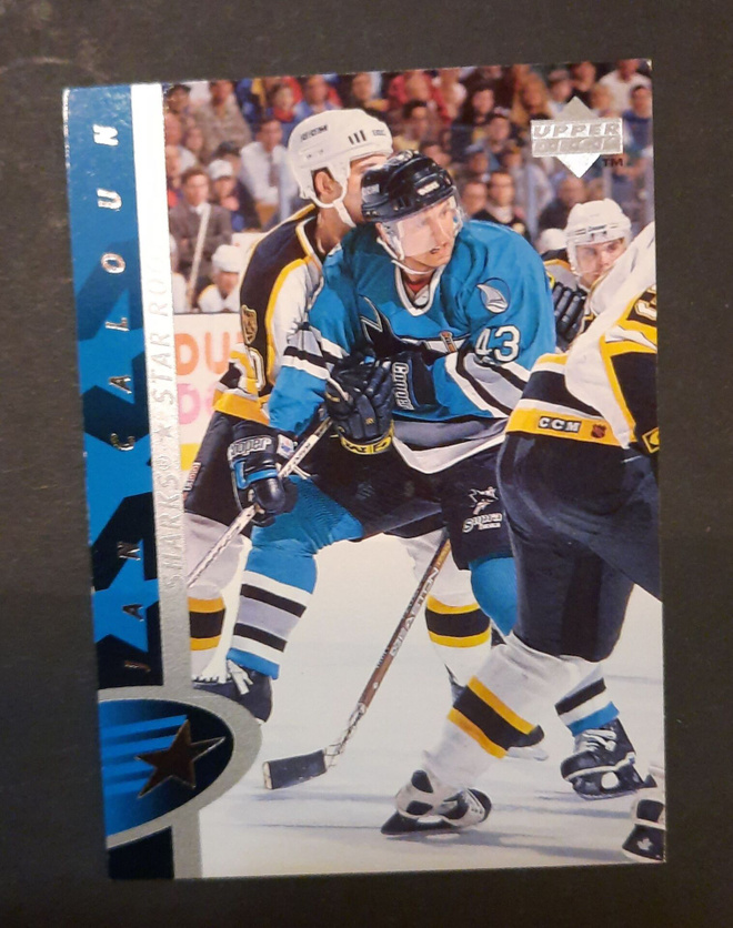Rookie Jan Caloun, Sharks 1995-96
