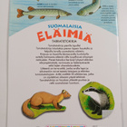 Paula Hihnala : Suomalaisia eläimiä (+tarrat) - pikkukuva 2