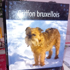 GRIFFON BRUXELLOIS (Suomen suosituimmat koirarodut) Sis.pk:t - pikkukuva 1