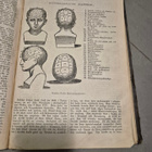 Lördags-Magasinet vsk. 1838 - pikkukuva 4