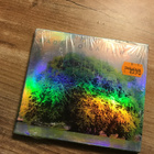Yo La Tengo . Fade CD - pikkukuva 1