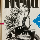 FREUD: UNIEN TULKINTA - pikkukuva 1