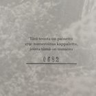 Jarkko Kemppi : Suomalainen sissitoiminta (numeroitu) - pikkukuva 3
