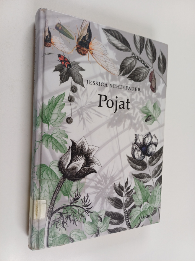 Jessica Schiefauer : Pojat