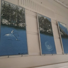 Heljä Liukko-Sundström ,Triptyykki "Ihminen ,-ja luonto" - pikkukuva 2