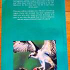 Madders ym : WHERE TO WATCH BIRDS IN SCOTLAND - pikkukuva 3