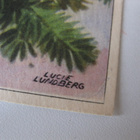 Lucie Lundberg joulukortti 1952 - pikkukuva 2