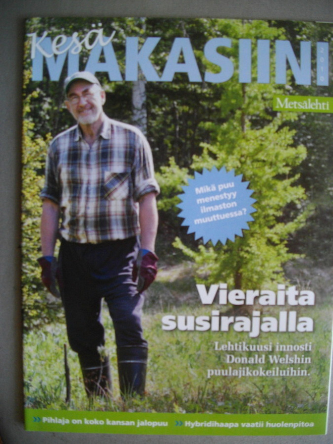 Kesämakasiini - Metsälehti 2001 (24.3)