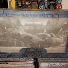 FIREFLY COLLECTOR'S EDITION / LIMITED EDITION - pikkukuva 1