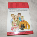 Enid Blyton Kummallisen nyytin salaisuus  13 - pikkukuva 2