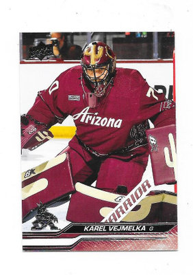2023-24 Upper Deck #263 Karel Vejmelka Arizona Coyotes MV
